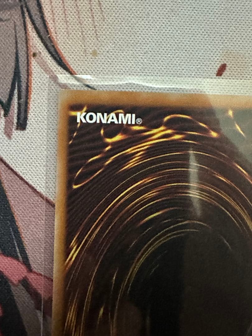 黒き竜のエクレシア プリシク