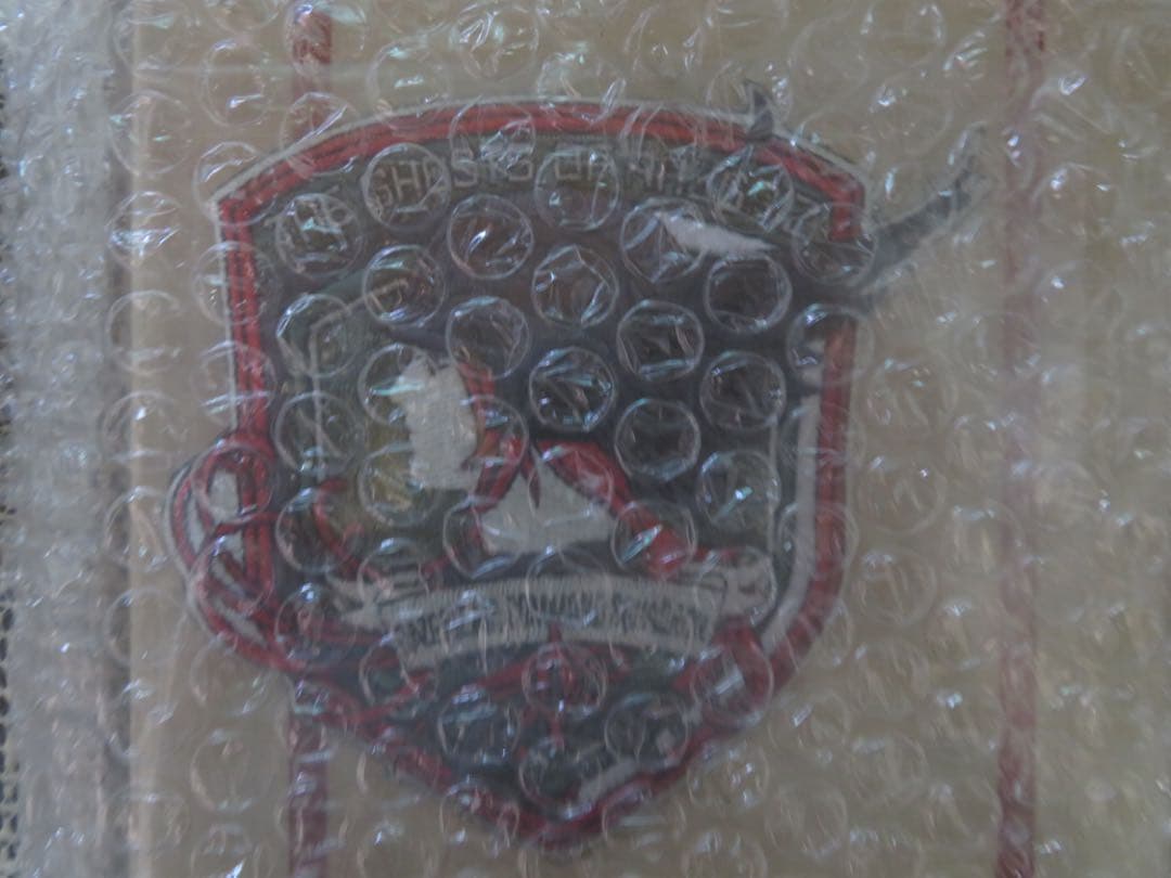 エースコンバット　姫君の青い鳥　ラーズグリーズワッペン