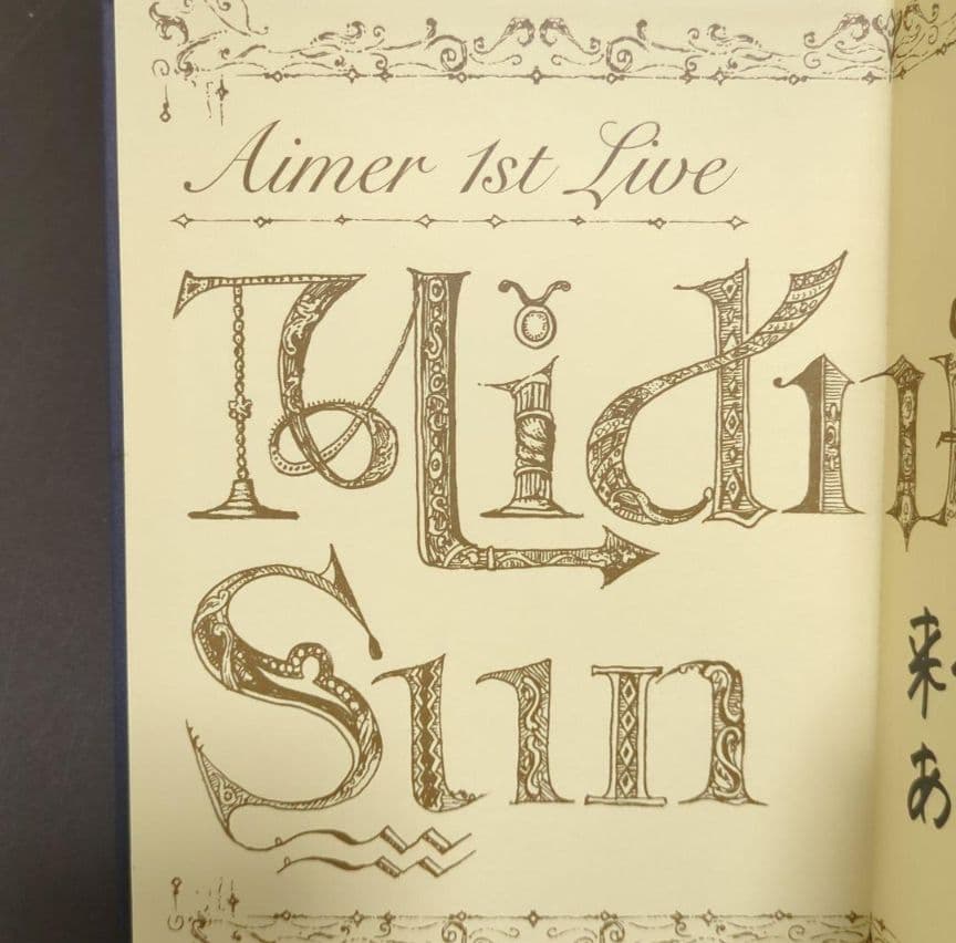 ★★★超希少★★★Aimer グッズ■ダイアリー■ Midnight San■