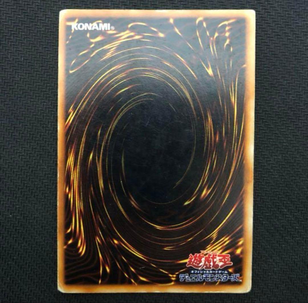 ネスタ【歴戦個体】ホーリーナイトドラゴン　初期シークレット