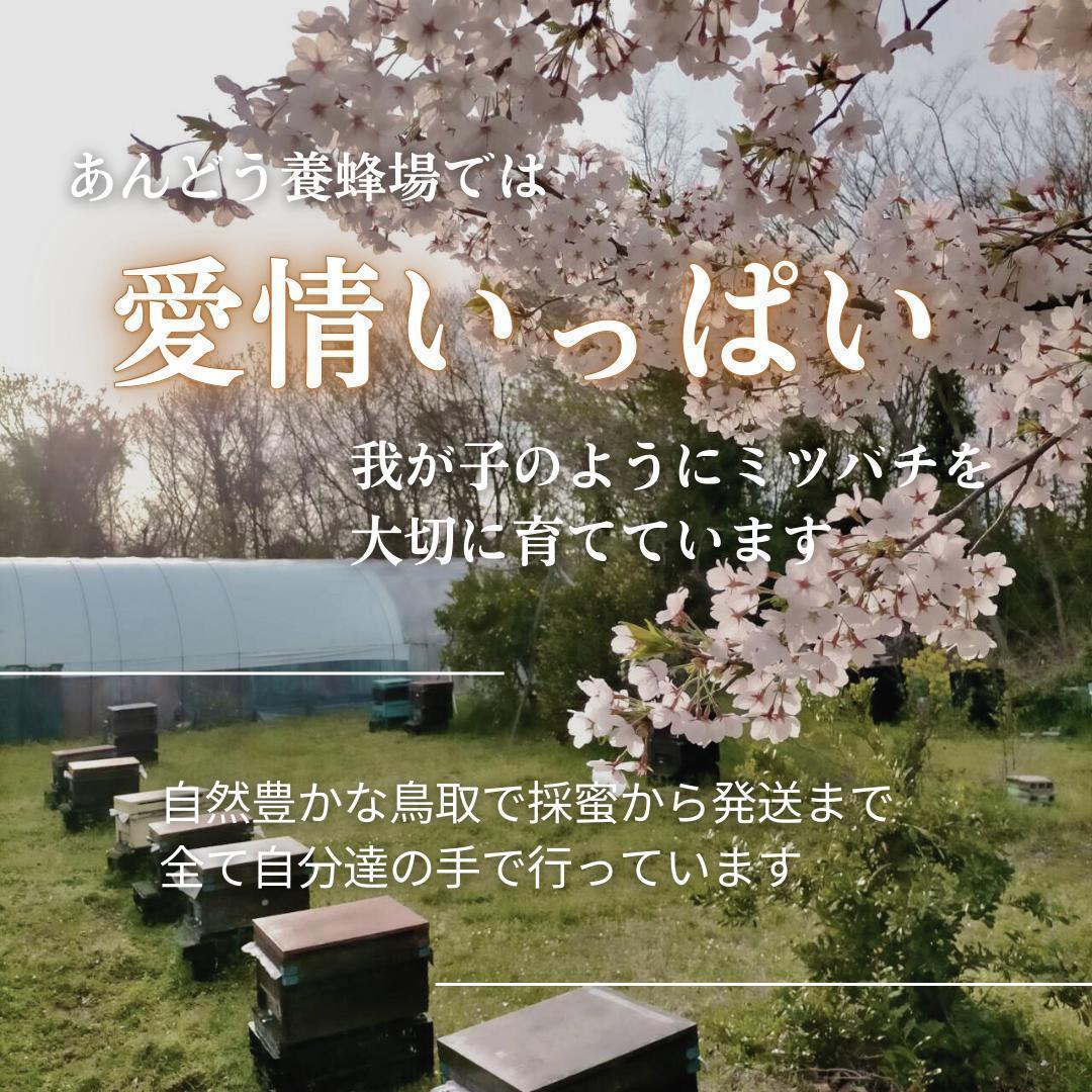 はちみつ 600g×3瓶 蜂蜜 ハチミツ 国産