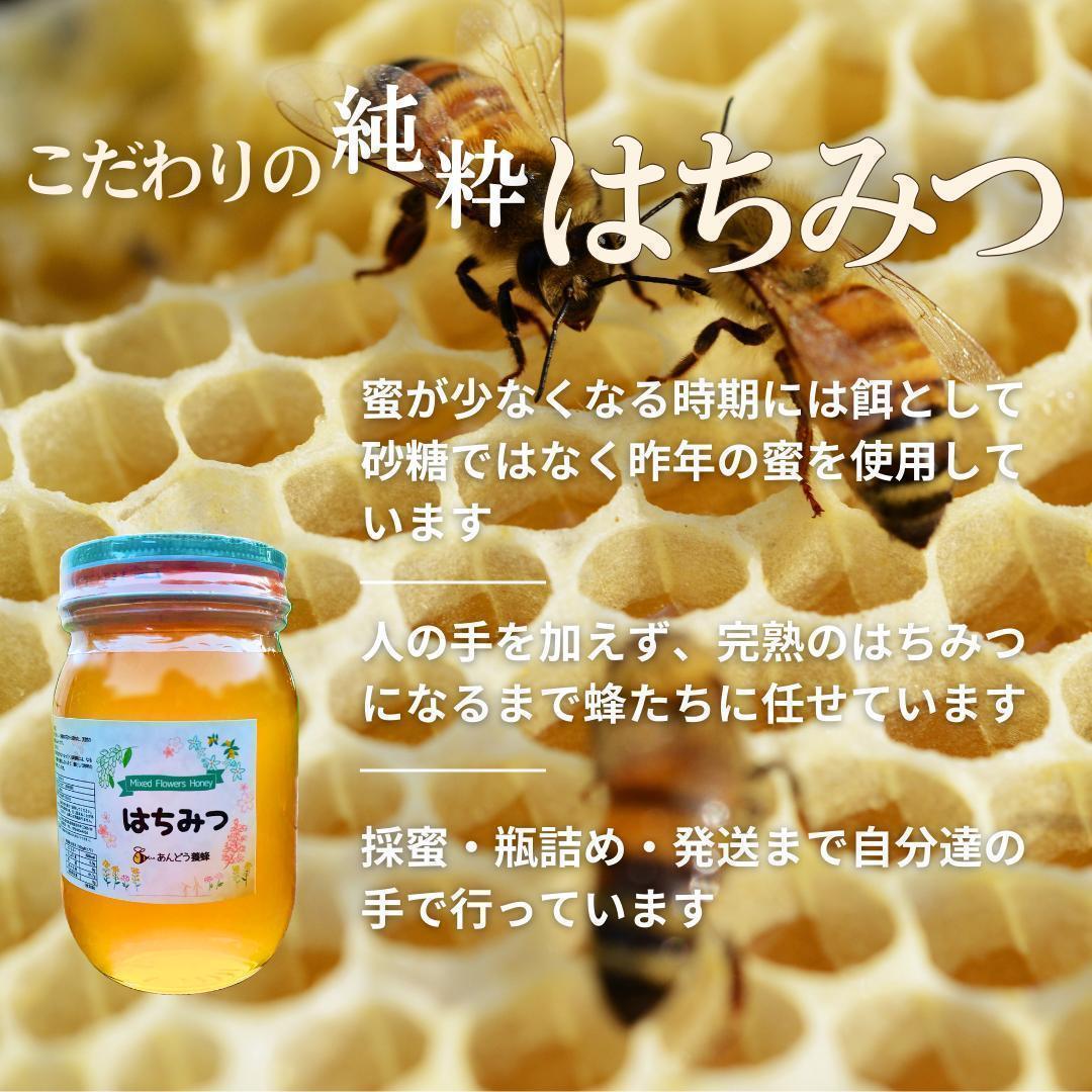 はちみつ 600g×3瓶 蜂蜜 ハチミツ 国産