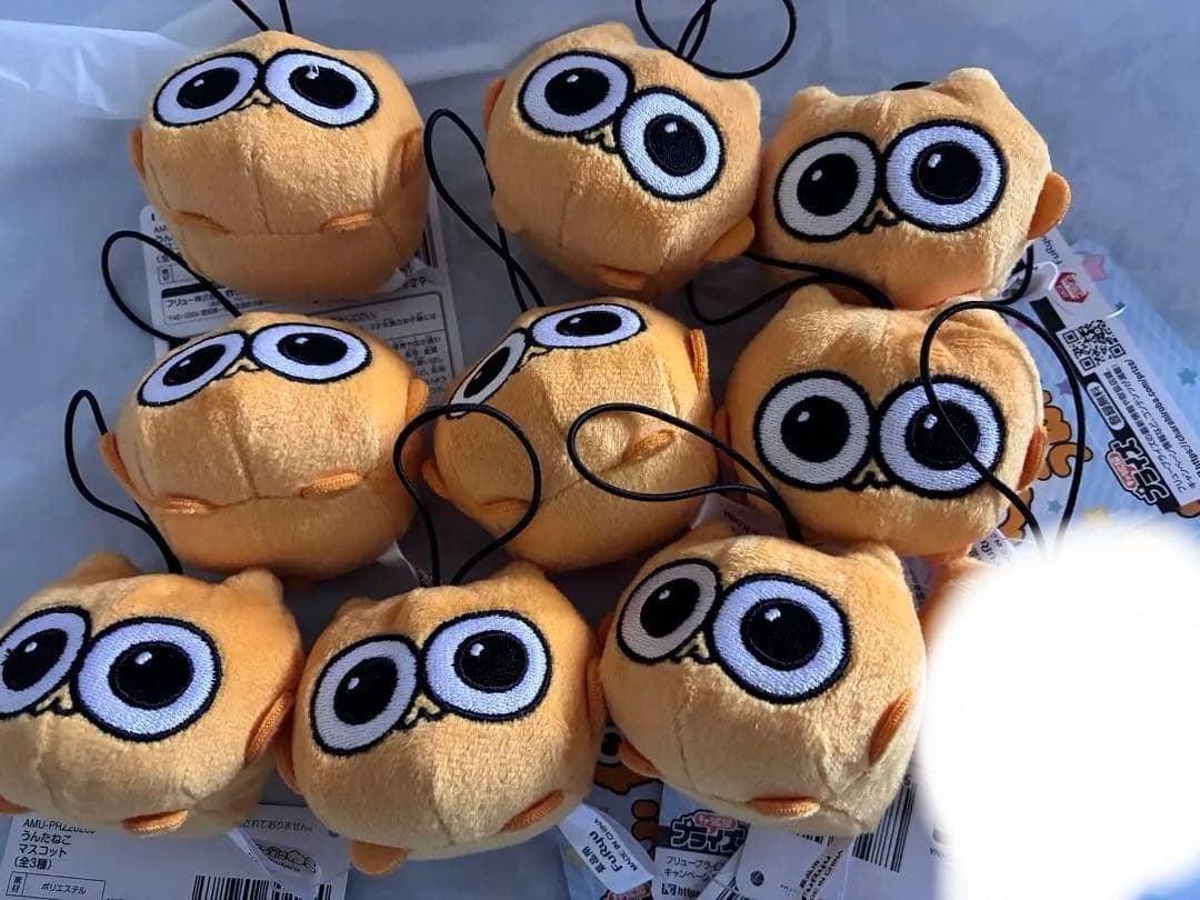うんたねこ　マスコット　ノーマル　10個　セット　まとめ売り