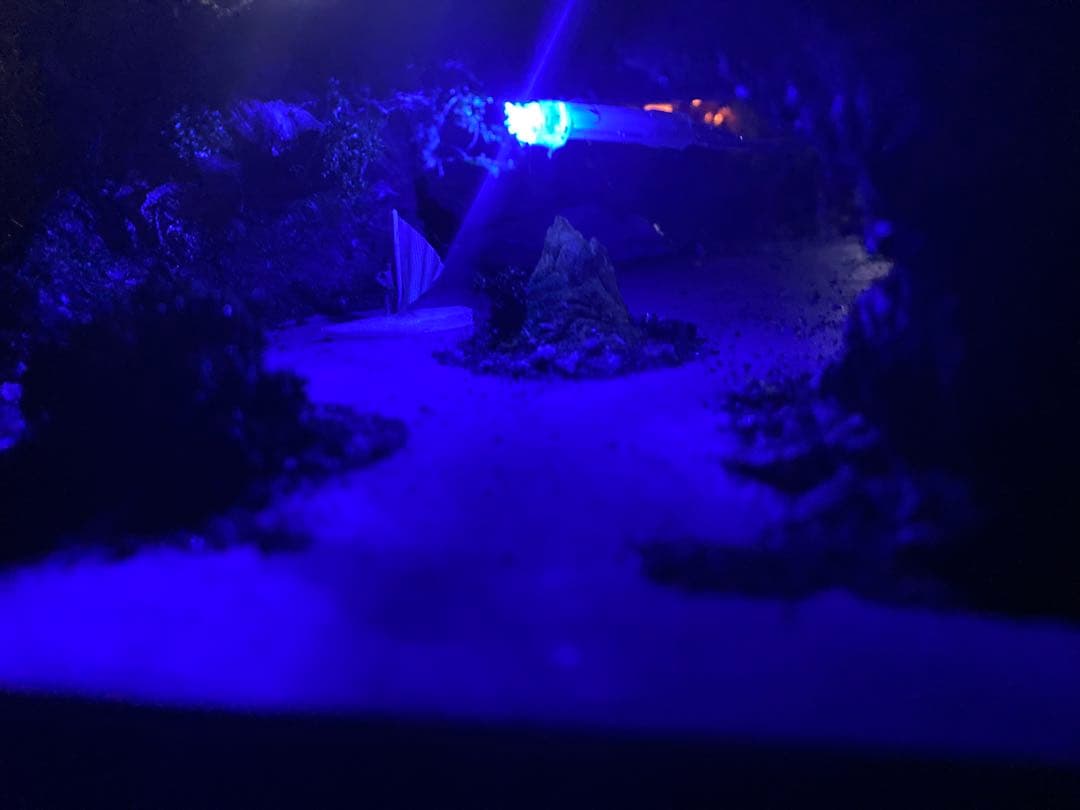 鉄道模型ジオラマ　　ロック様の専用になりました