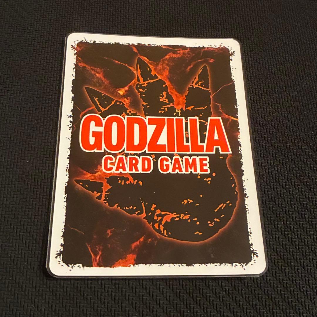 オガ品　2/8に購入お約束