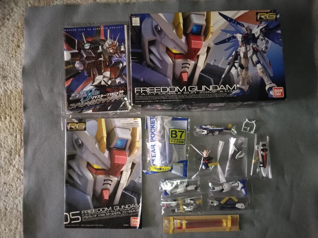 【塗装済 完成品】RG 1/144 フリーダムガンダム 光沢塗