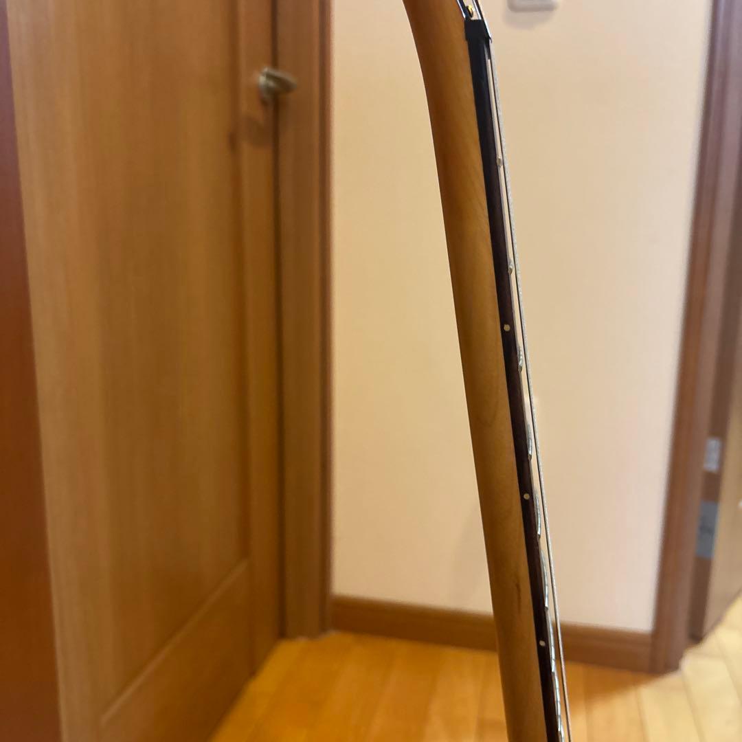 ARIA PRO II Magna Series ゴールドパーツ アーム付