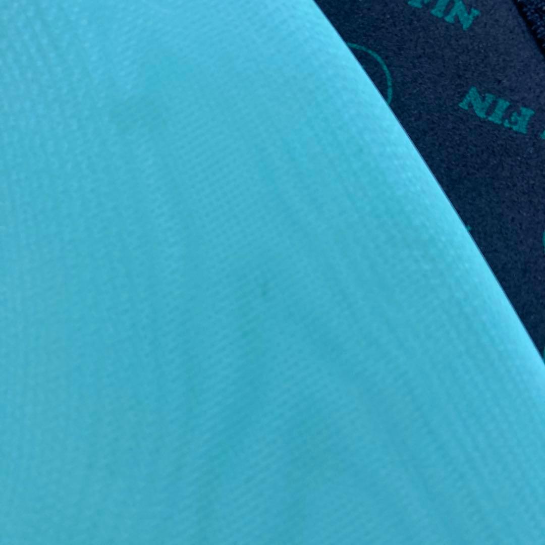 キャプテンフィン　アレックスノスト　10インチ