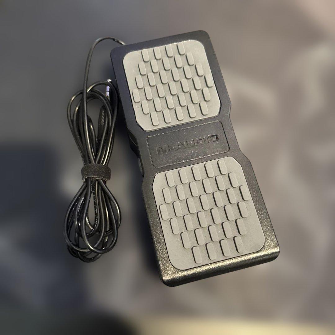 ギター BOSS GS-10