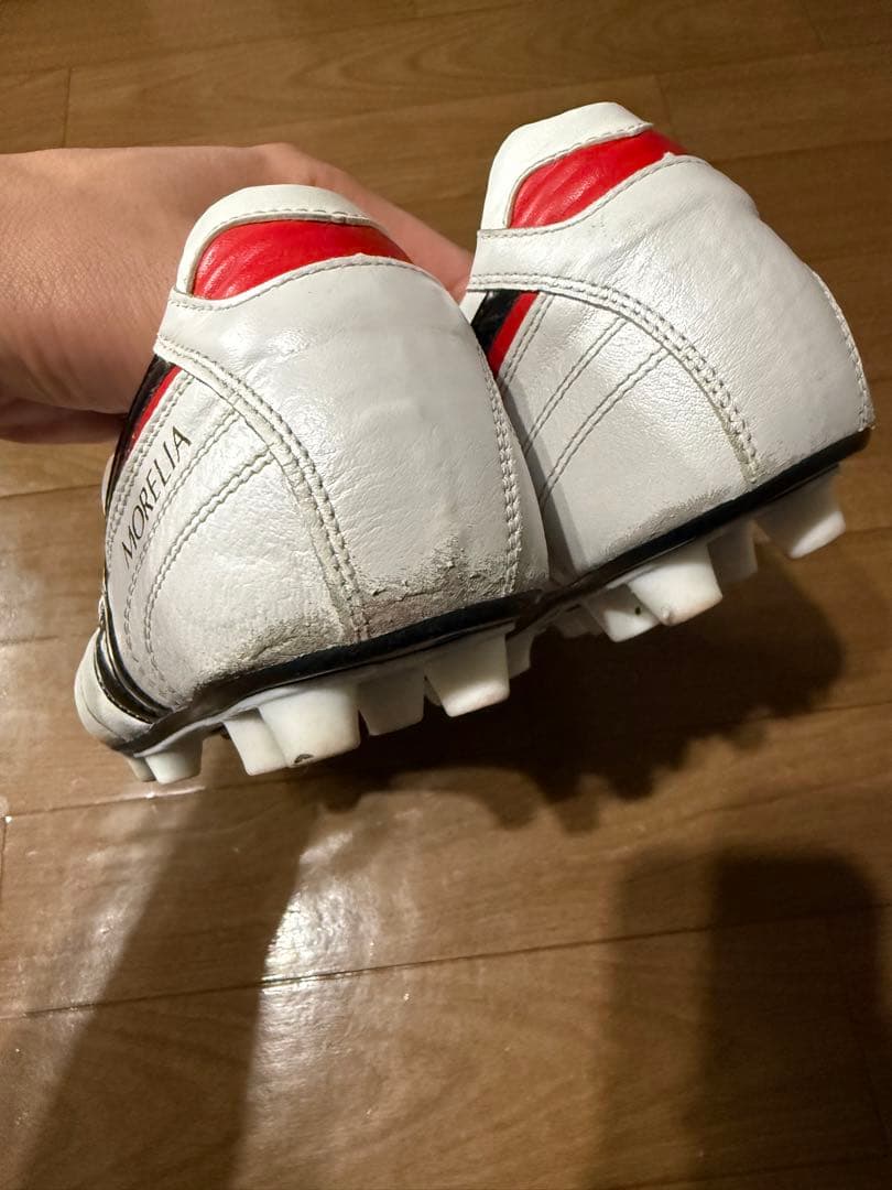 あき モレリア 2 JAPAN 25.5