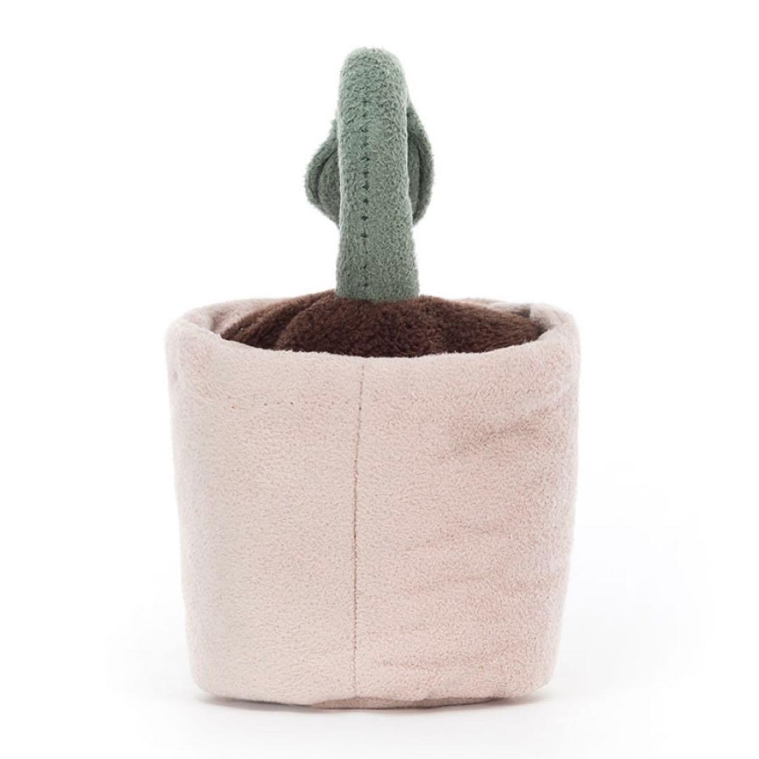 廃盤　新品タグ付き　ジェリーキャット　植物　観葉植物　鉢植え　ポット　芽