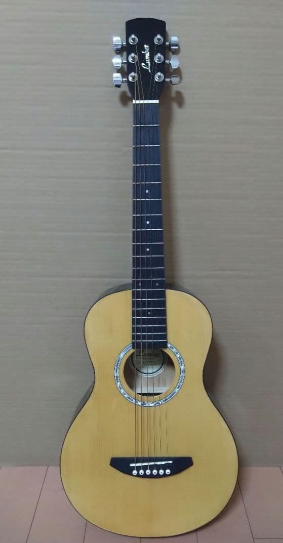 アコースティックミニギター LumberL100MNA ケース他付属品５点