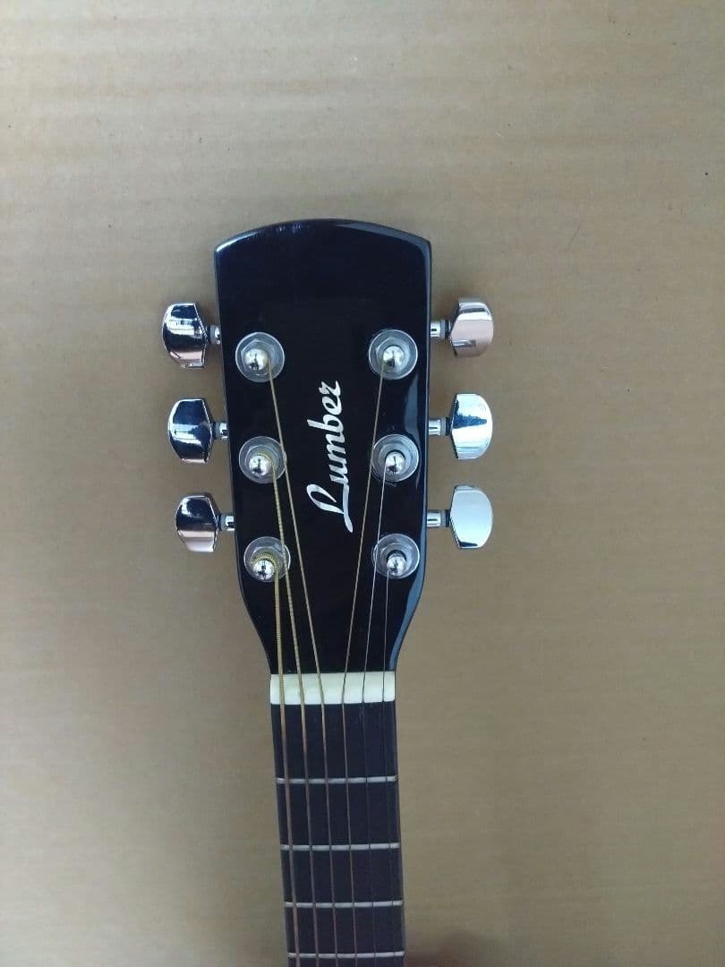 アコースティックミニギター LumberL100MNA ケース他付属品５点