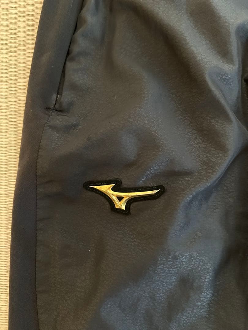 Mizuno Pro ブレスサーモ　L 【売り切り最終値下げ】