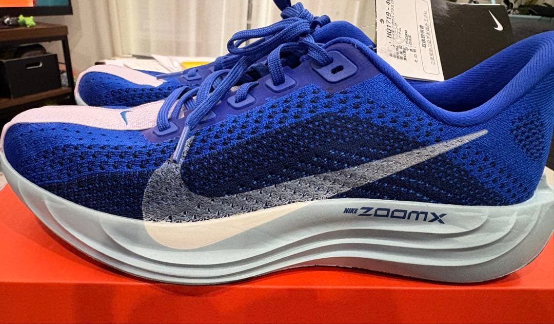 Nike ペガサスプラスCM ランニングシューズ　青　25.5㎝　H1