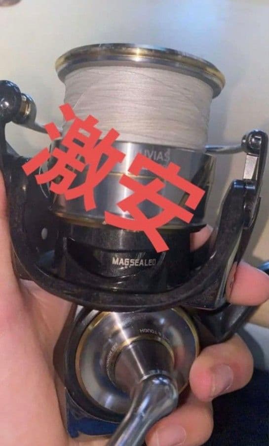 お*ー様 20ルビアス LT4000-CXH スピニ ングリール 【DAIWA】