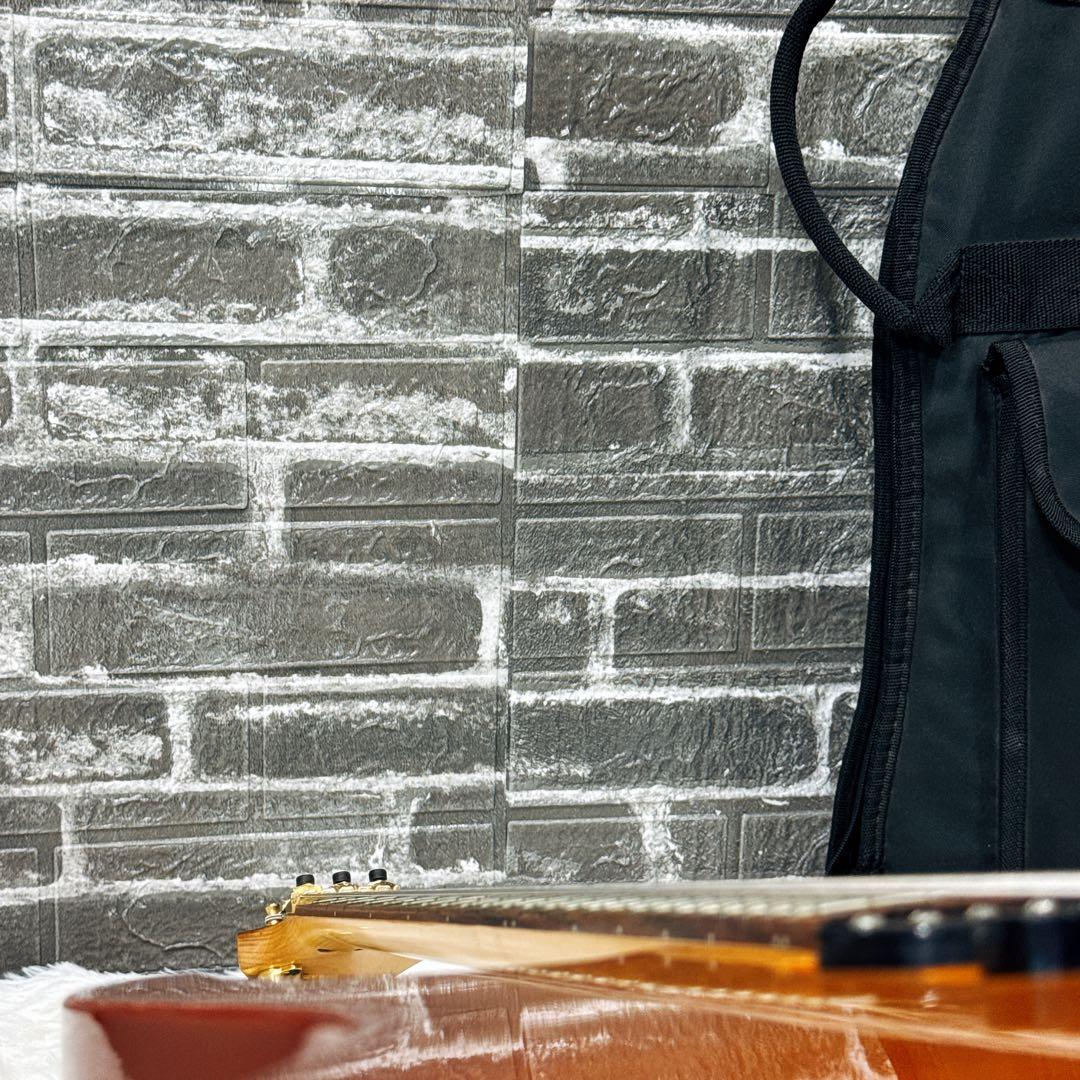 IBANEZ RG 日本製 タケウチ製フロイド ゴトーペグ