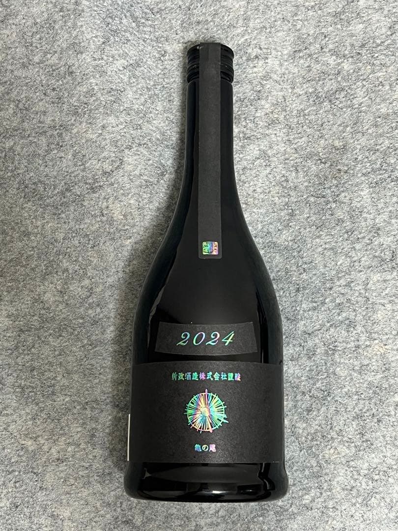 新政　亜麻猫　アッシュ　2024