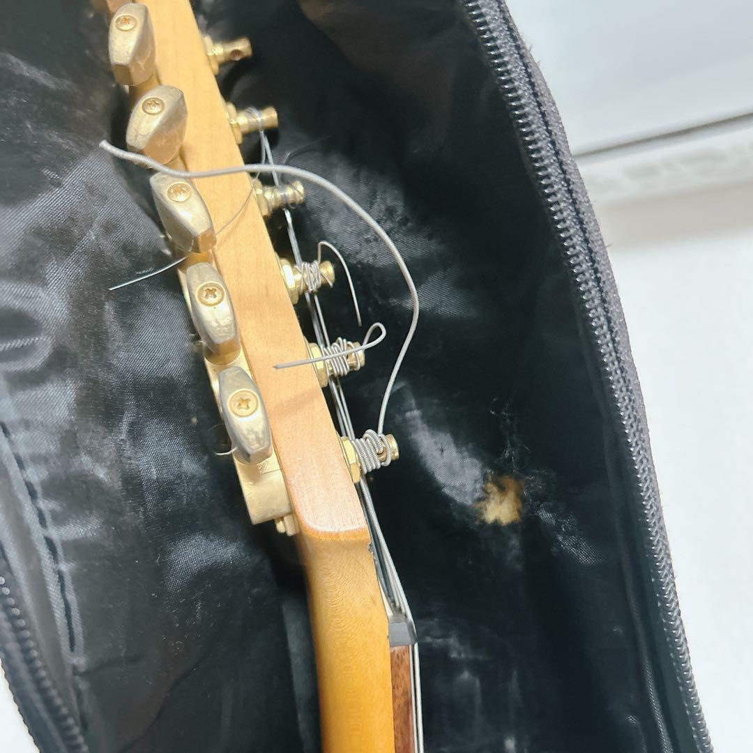 フェルナンデス　エレキギター