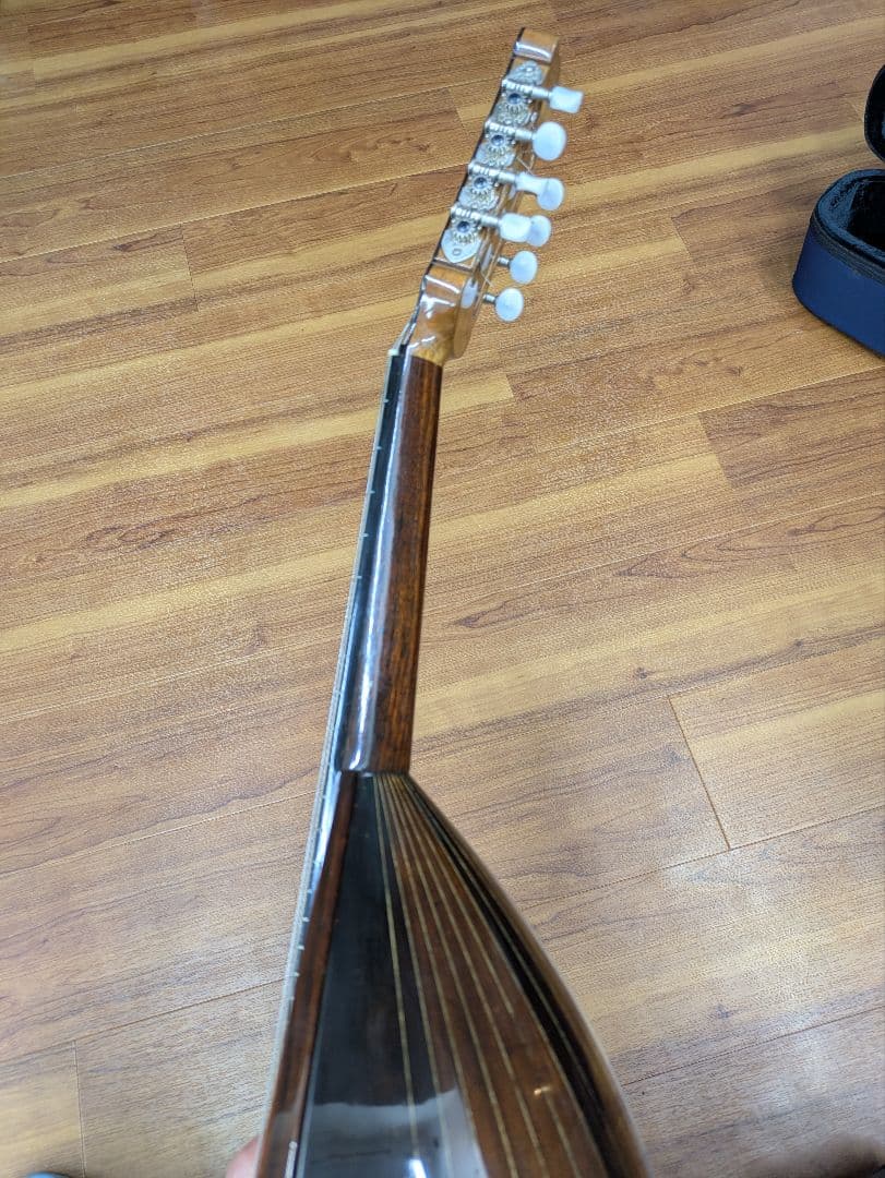 マンドラ Mandola(セミハードケース付)【落合忠男製作/特注品】