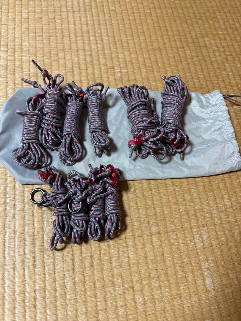 スノーピーク リビングシェルロングPro.アイボリーTP-660IV