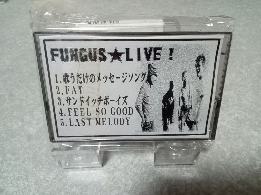 FUNGUS 完売間近！！