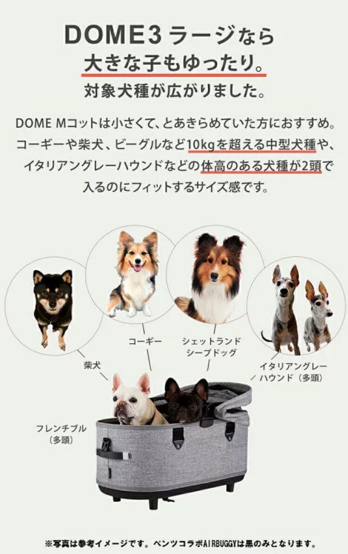 AirBuggy DOME3 Mercedes-Benz メルセデスベンツ