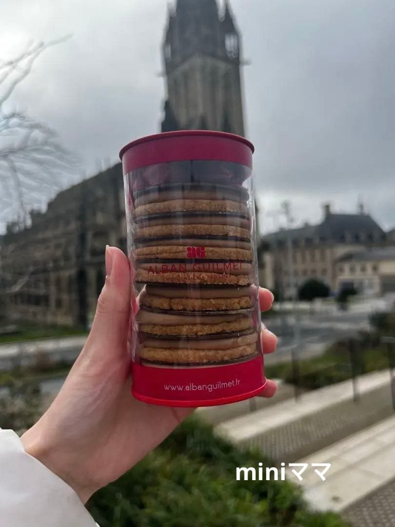 2/20配送【アルバンギルメ】サブレ ジャンドゥージャ