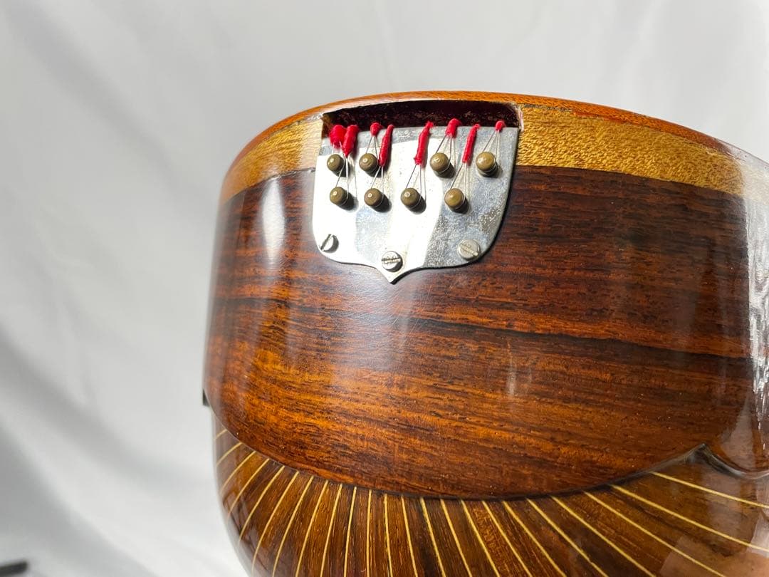 ラファエレ・ カラーチェ マンドリン No.24