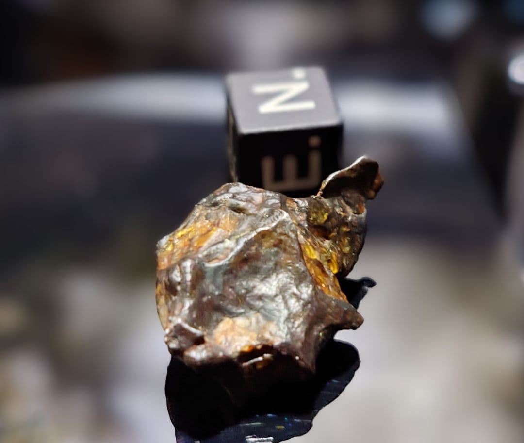 隕石 ゴールデン パラサイト⭐