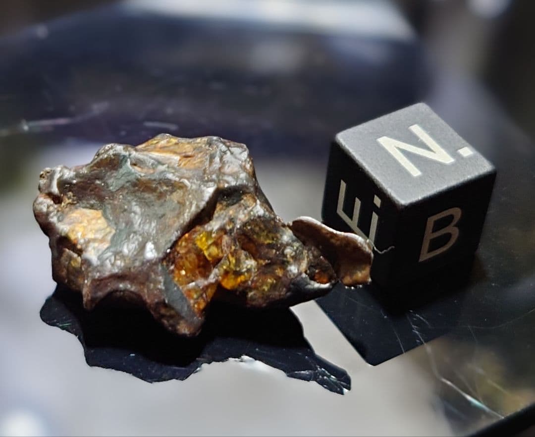 隕石 ゴールデン パラサイト⭐