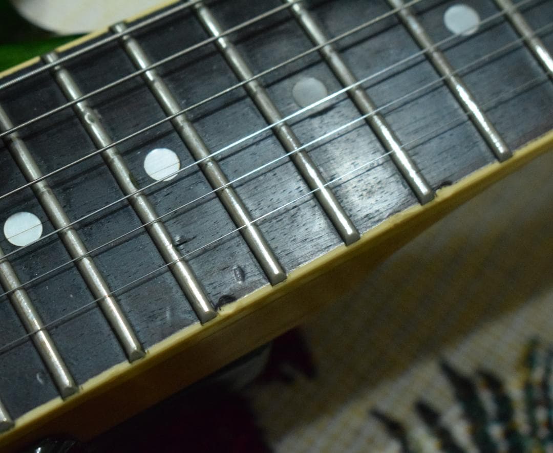 Samick YV560-TGR 24フレット