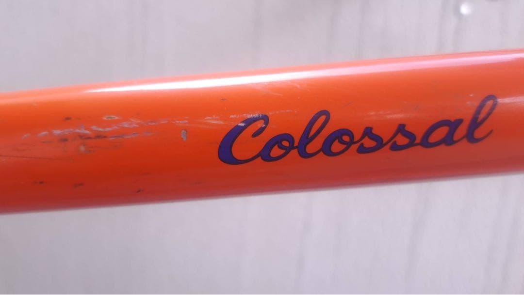 自転車本体 salsa colossal