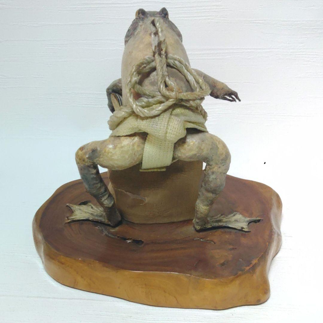 蛙力士　ウシガエルの横綱　土俵入り　カエルの置物　相撲　置物　剥製　昭和レトロ