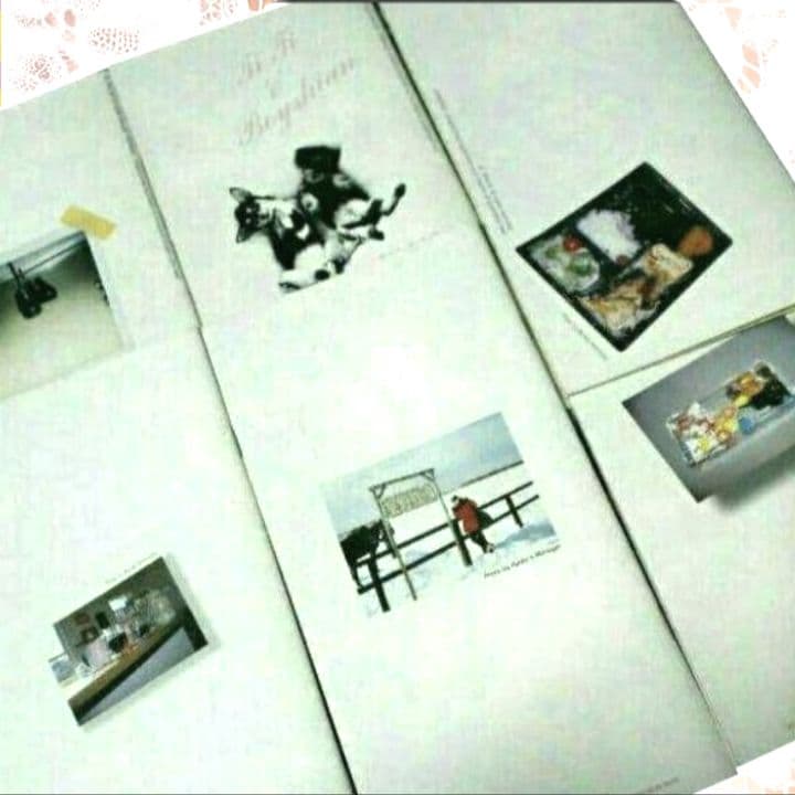 篠原涼子ファンクラブ会報 6冊セット