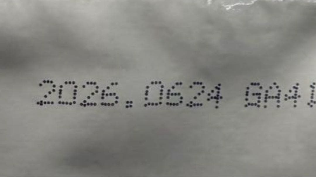 ソルビダチキン室内飼育成犬３Ｋ×３