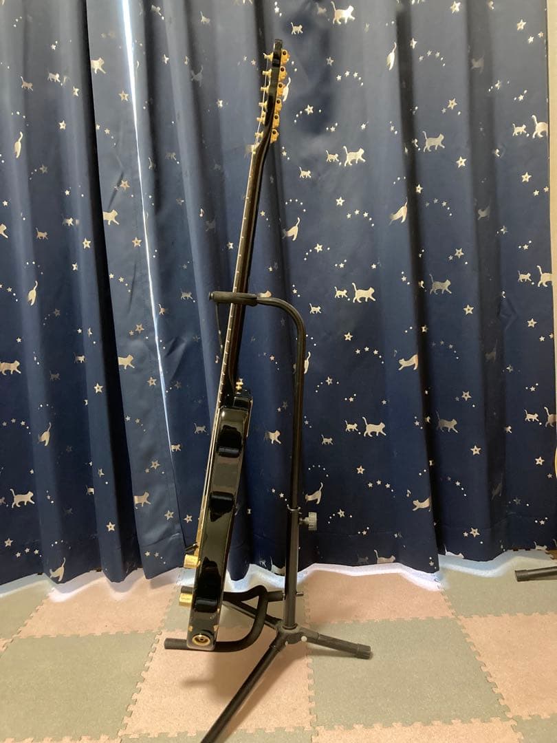 Fender Japan TLG80-60 （フェンダージャパン）