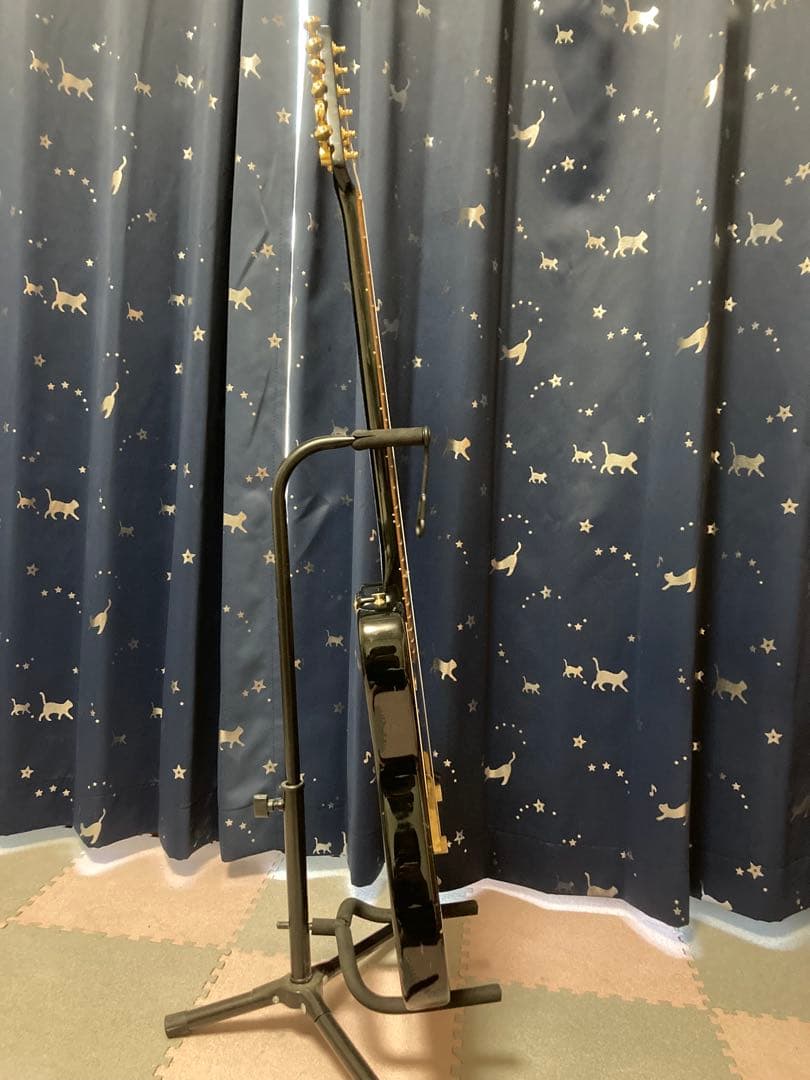 Fender Japan TLG80-60 （フェンダージャパン）