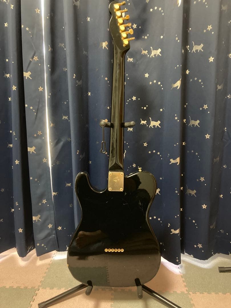 Fender Japan TLG80-60 （フェンダージャパン）