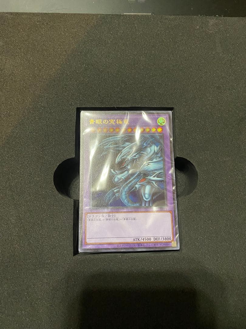 【Show】海馬セット　引退品　シクブル　まとめ売り　ホロガール