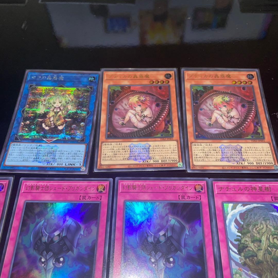 蕾禍蟲惑魔本格構築デッキ売り⭐︎決闘者伝説版⭐︎オマケ有