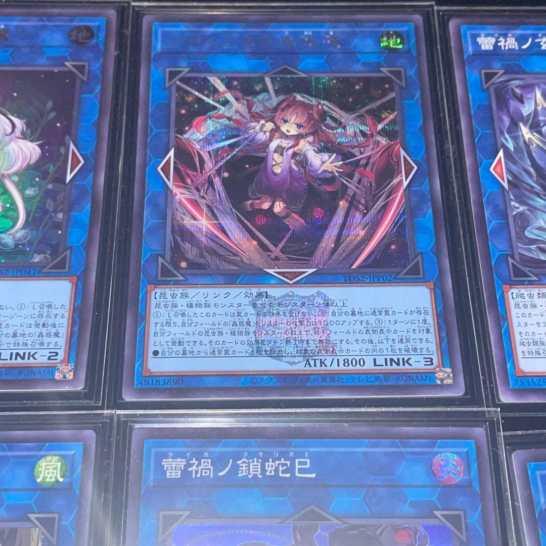 蕾禍蟲惑魔本格構築デッキ売り⭐︎決闘者伝説版⭐︎オマケ有