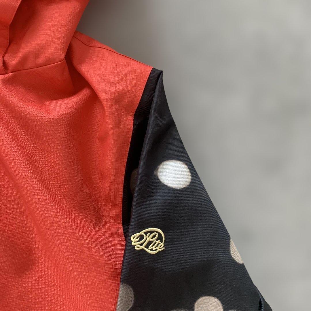 未使用級✨DLite レディースLスキースノーボードウェア上下セット