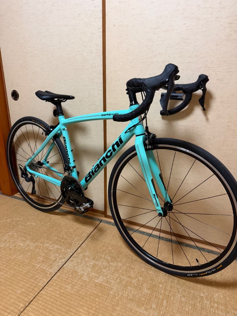 最終値下げ　早期販売したいです　Bianchi BERGAMO フレーム50cm