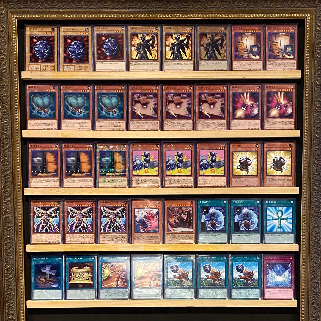 即日発送！ゴキ⚪︎リ　デッキ　遊戯王　害虫　ブラックアイアンG シャインブラック