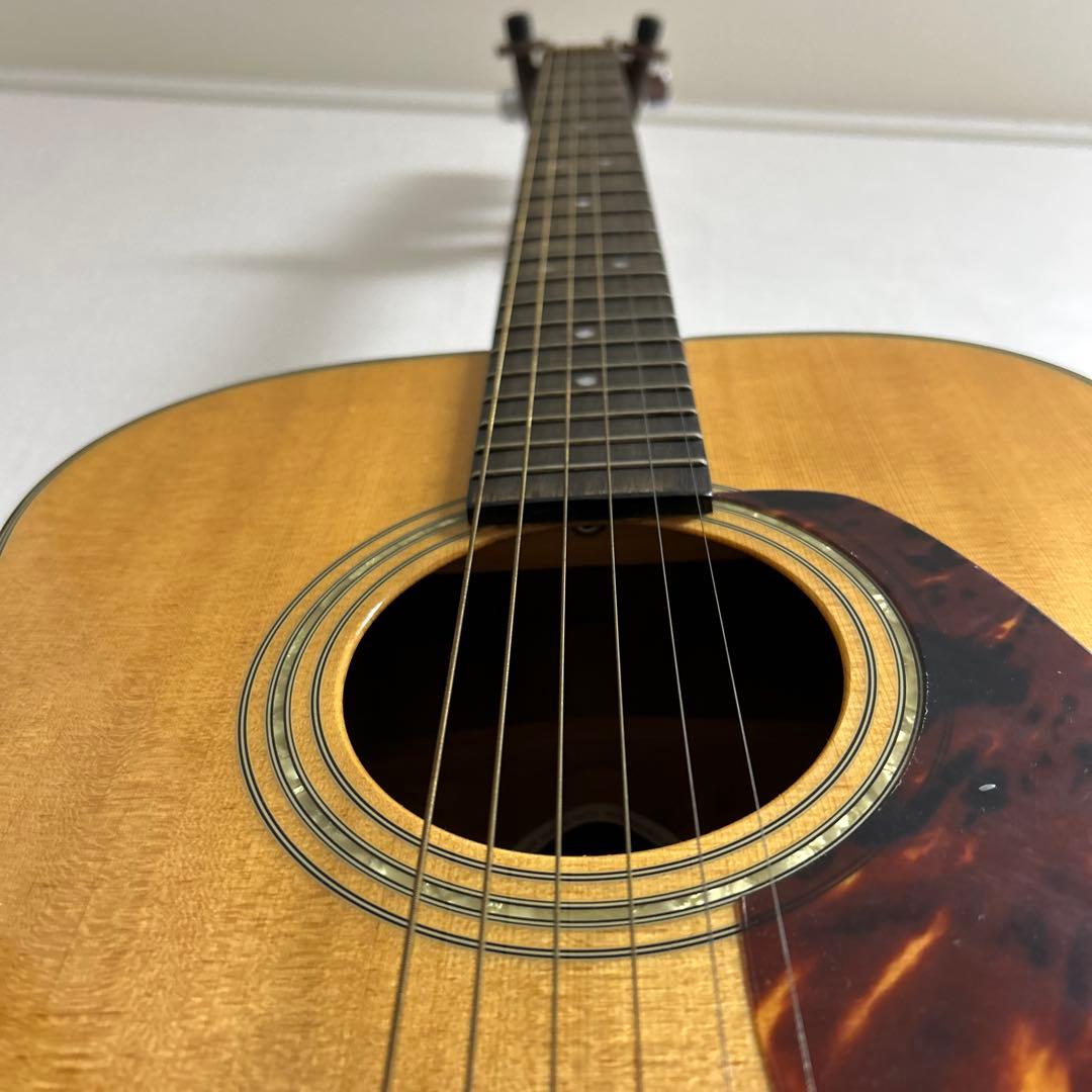 Morris F-35 NAT アコースティックギター