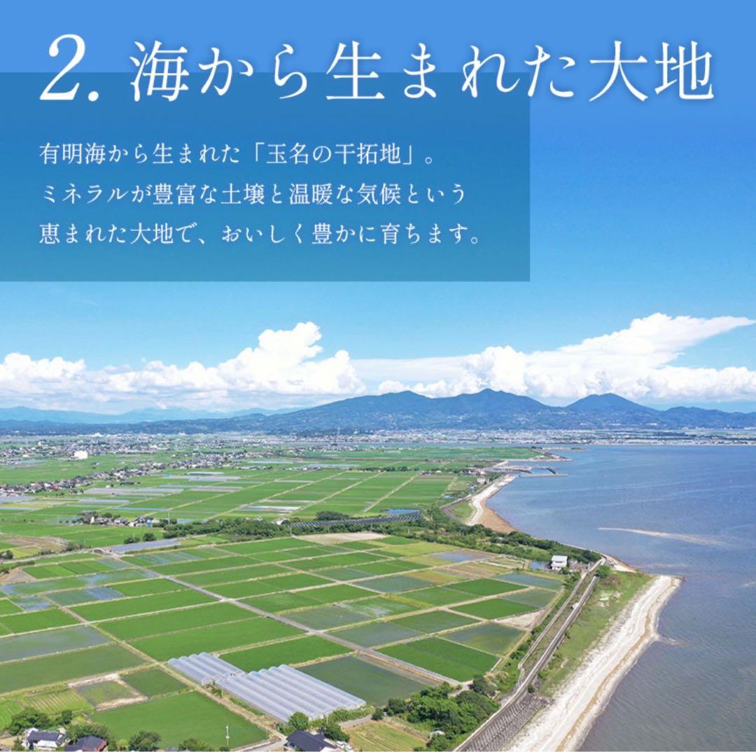 ミニトマト　15キロ　野菜　熊本　おやつ　弁当　おかず　ミネラル　リコピン