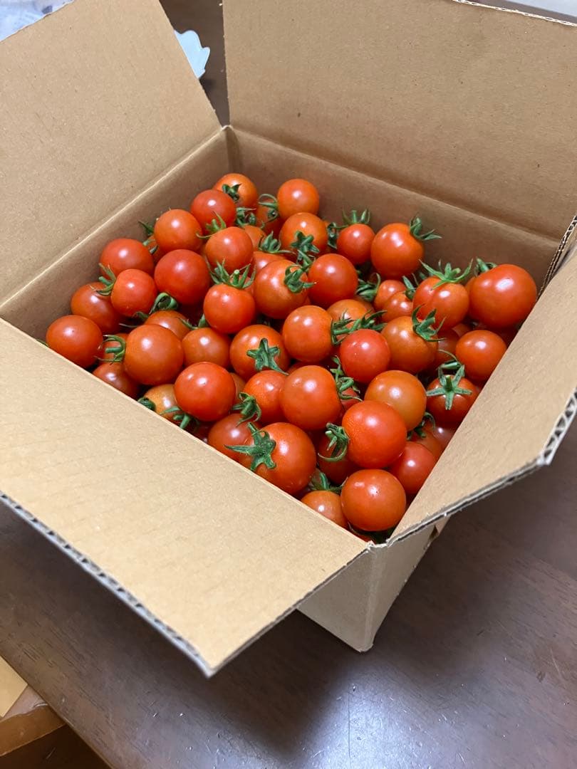 ミニトマト　15キロ　野菜　熊本　おやつ　弁当　おかず　ミネラル　リコピン