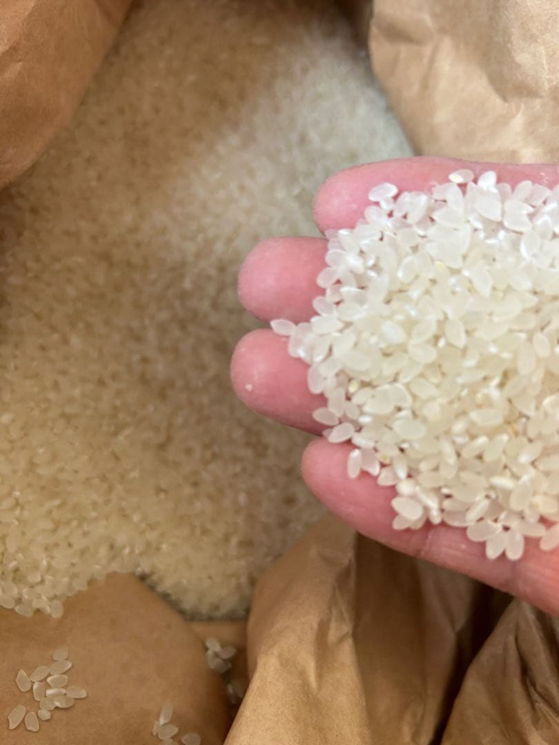 宮城県産　令和7年【ひとめぼれ玄米30k 】 冷暗保存品　農家直送