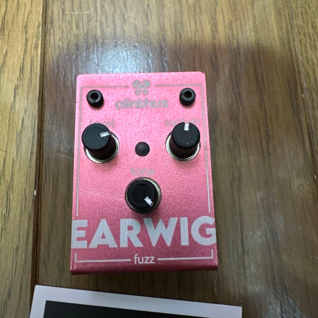 olinthus EARWIG fuzz ギターエフェクター